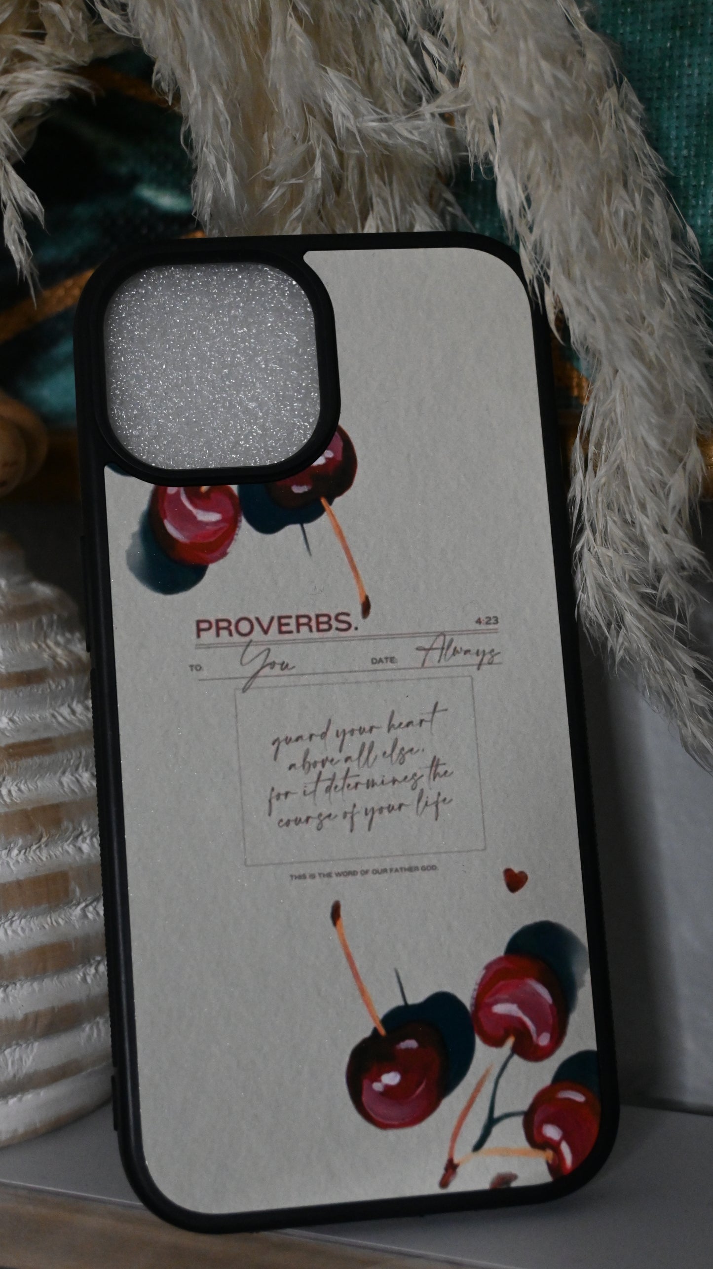 Prov. 4:23 iPhone cases